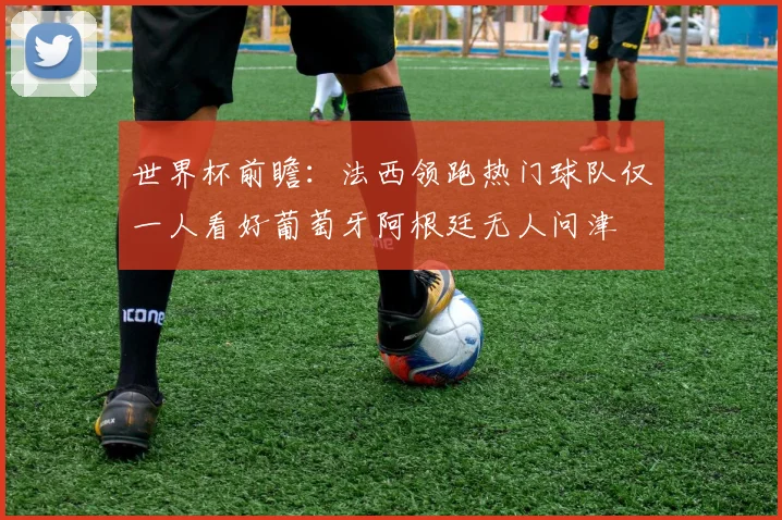 世界杯前瞻：法西领跑热门球队仅一人看好葡萄牙阿根廷无人问津